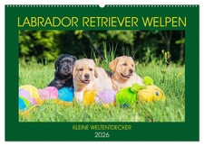 Sigrid Starick | Labrador Retriever Welpen - Kleine Weltentdecker...
