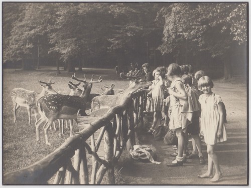 Fotografie kindergruppe mit - kindergruppe,