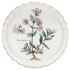 Quicheform Valeriana