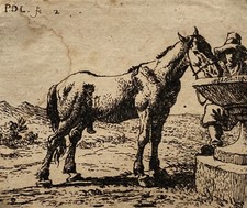 Pieter Jacobsz. van Laer