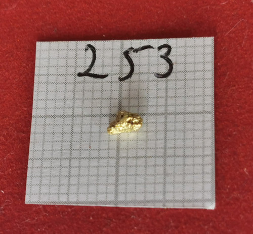 253 goldnugget alaska yukon - goldnugget,