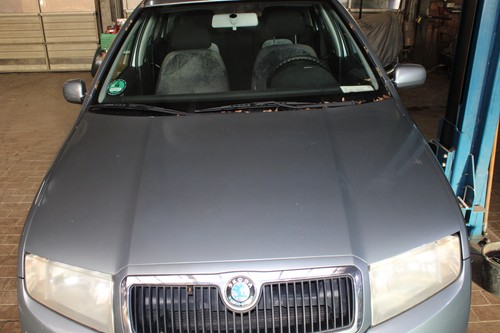 Motorhaube ohne kühlergrill - (,