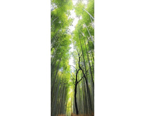 Glasbild treetops gla2280 - treetops,