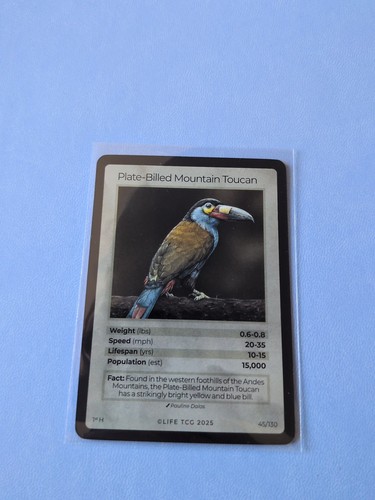Life tcg birds - life, birds: