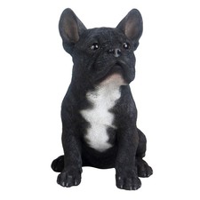 Französische bulldogge - bulldogge, in