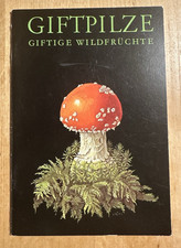 Giftpilze giftige Wildfrüchte