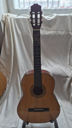 Gitarre für anfänger - gitarre,