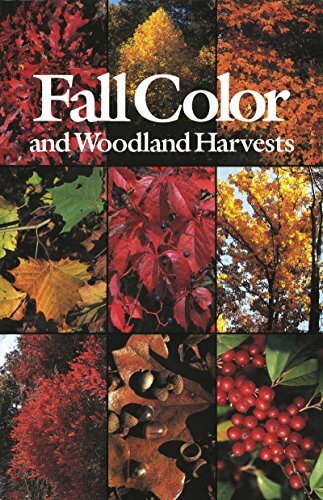 Fall color and woodland - color,