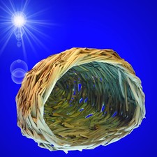 Nager Zubehör 🐹GRAS NEST HÖHLE 🐹 Hamster Meerschweinchen Haus Tunnel Spielzeug