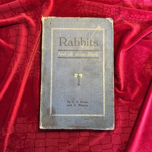 Rabbits and all about - all,