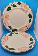 Villeroy & Boch WILDROSE 2 X