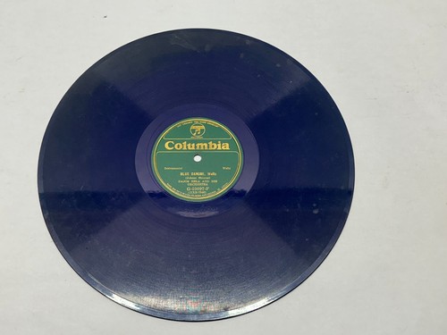 Blue colored columbia - 12",