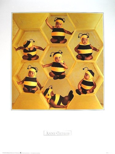 Anne geddes lithographie - anne,