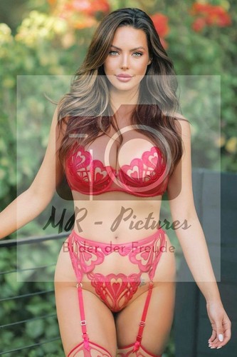 21489 erotisches pin up - -,