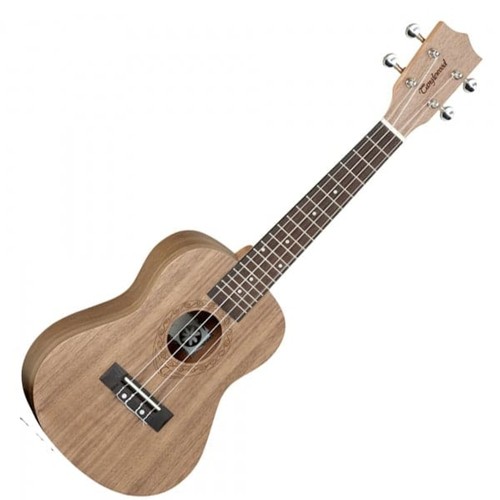 Tanglewood tiare konzert - tiare,