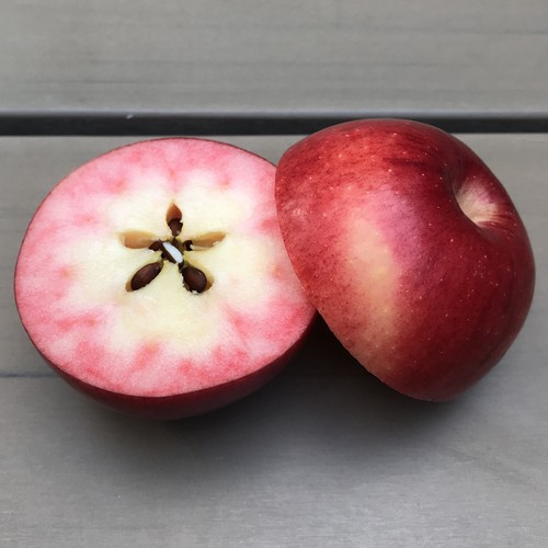 Elmira pink apfelbaum - pink,