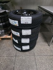 Renault Zoe Winter -