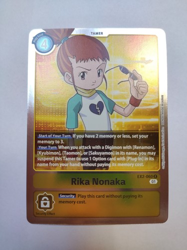 Rika nonaka ex2 060 - rika,