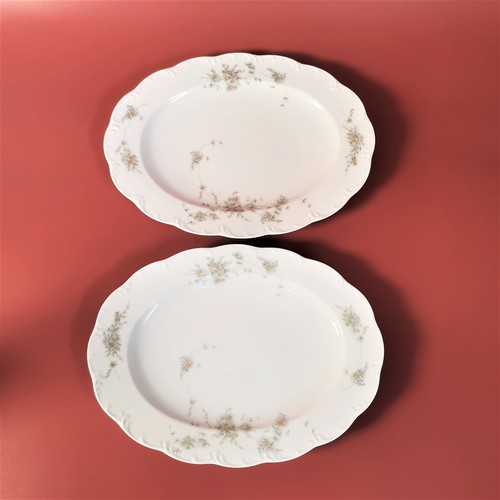 Rosenthal classic rose - 2x,