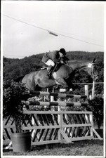 Foto Springreiten, Sprung