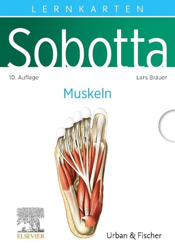 Lars bräuer sobotta - lars, /