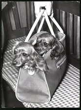 Fotografie Röhnert, Berlin