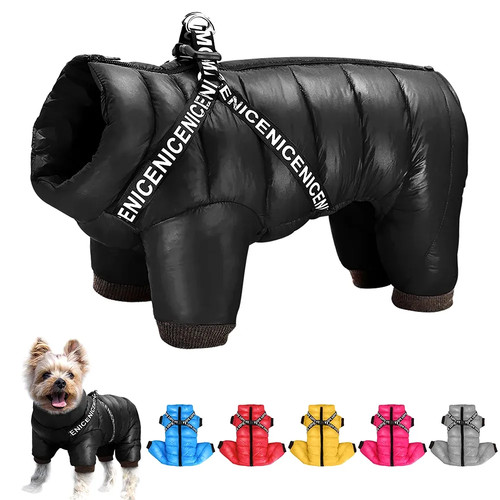 Hundemantel winter wasserdicht - winter,