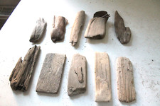 Schwemmholz Treibholz 10