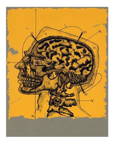Vintage anatomischer sch - vintage, sch�del