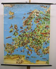 Schulwandbild Bildkarte