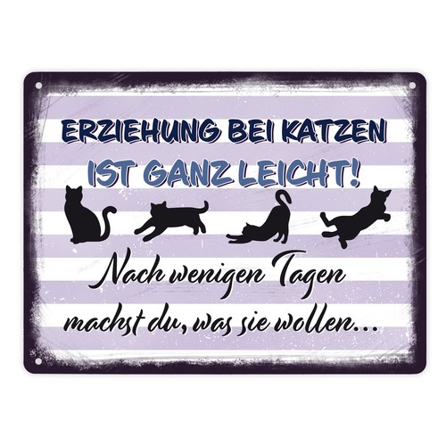 Erziehung bei katzen - katzen, ist
