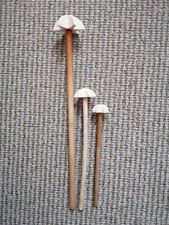 3 Stück Quirl mit Plastikkopf, Buchenholz DDR Ostprodukt