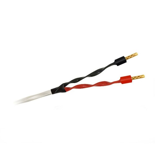 Wireworld stream - wireworld,