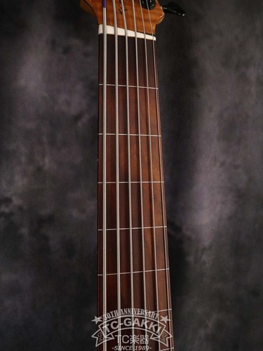 Roscoe skb6 custom fretless - roscoe,