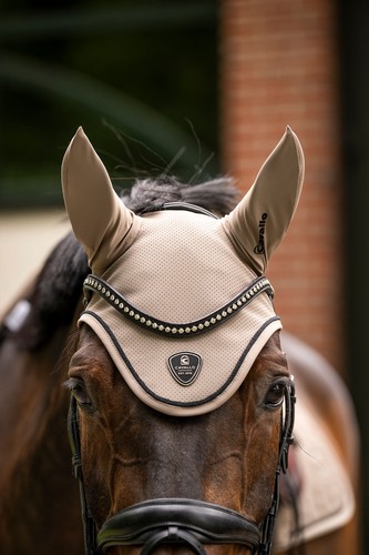 Cavallo cavaljackie - cavallo,