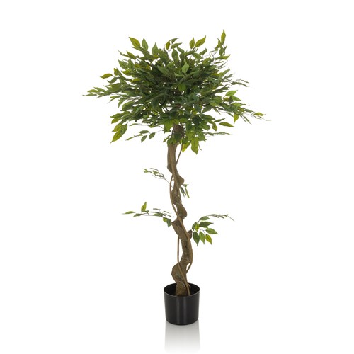 Kunstpflanze birkenfeige ficus - kunstpflanze,