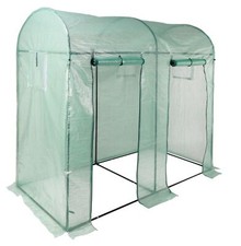 Gewächshaus Tomaten