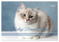 Heilige Birma Katzen - Eine