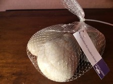 Leonardo Dekosteine.  Kiesel