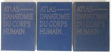 Atlas D'Anatomy The Body Man