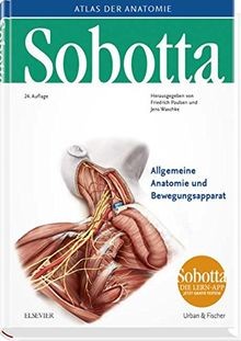 Sobotta atlas der - sobotta,, anatomie
