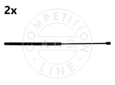 2x Gasfeder 450N Heckklappe