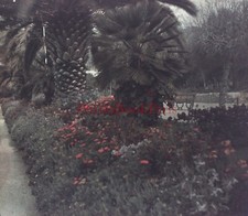 Garten Blüten Süd Der