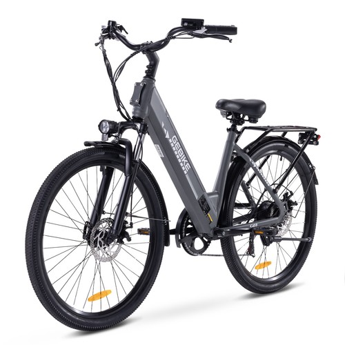 Elektrofahrrad für