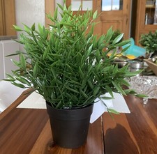 IKEA FEJKA Topfpflanze, Deko