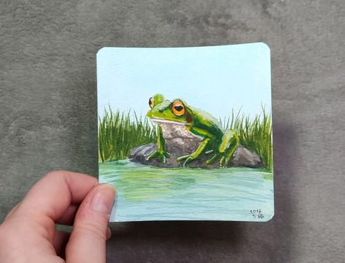 Frosch aquarellgemälde - frosch,