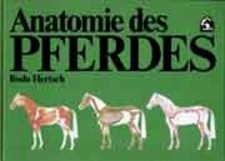 Anatomie des Pferdes Hertsch
