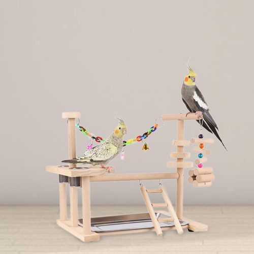 Papageienspielplatz mit