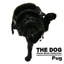 The dog photo book collection - dog,