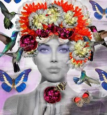 Chloe rox kolibris - rox,